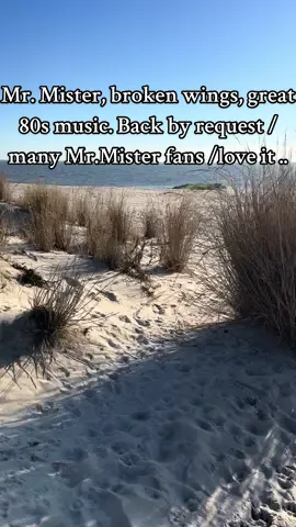 Mr, Mister - broken wings , 80s music . #fypage , #viral , #trendingnow , #80smusic , #beach .. 