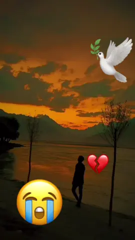 #paratiiiiiiiiiiiiiiiiiiiiiiiiiiiiiiiiii🦋 #fypシ゚viral🖤tiktok☆♡ #triste💔 #fyppppppppppppppppppppppp 💔🕊️🥀😭 