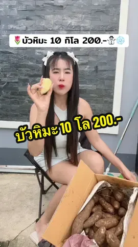 #บัวหิมะ 10 โล คุ้มมาก
