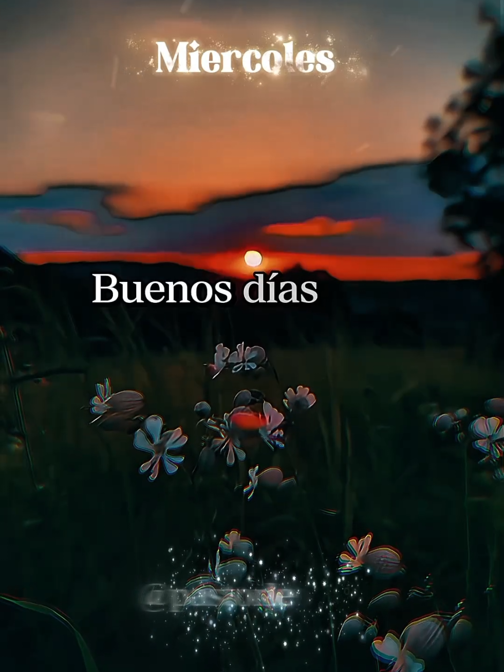 Buenos días Dios, hoy es miércoles 24 de septiembre.#dios #oracion #jesus #buenosdias #pastorleolopez 