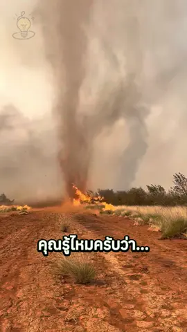 สาเหตุของโลกร้อน 🌏🔥#สาระน่ารู้ #ความรู้รอบตัว #viralvideos #tiktokknowledge #fyp 