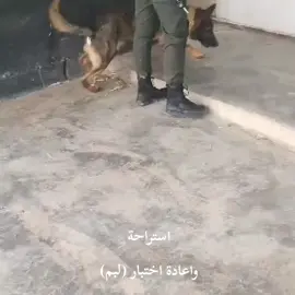 #سرايا_السلام_لَوٌآء_315_314_313_ #جيش_المهدي_لواء_اليوم_الموعود #سرايا_السلام_لواء_القوات_الخاصه✌🇮🇶 #التيار_الصدري_عائلتي_الكبرى #سرايا_السلام_حماة_الوطن🇮🇶🇮🇶 
