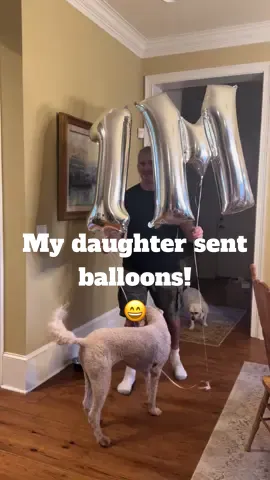 Omg TY Tiktokers! 2 videos hit 1 million today! I am so happy Ophelia brings you a little bit of joy each day. I look forwarding to seeing her always and am happy to share her with each of you. 🙏🏼🦢.   #ophelia #blackswan #1millionviews #countrylife #farmlife