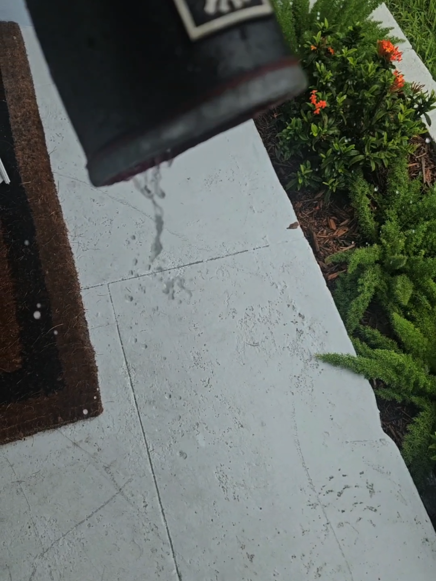 This Florida weather has us detailing in the rain - Book Now Everything I use is in my bio! ✅️ Ceramic Coating ✅️ Paint Correction ✅️ Full Details ✅️Odor Removal (305) 985-9227 If you're looking for the cheapest option keep looking. But if you want the best. You've found them. #mobiledetailing #detailer #fyp #rain #florida 