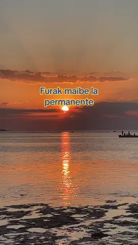 #🌊🪐🐚
