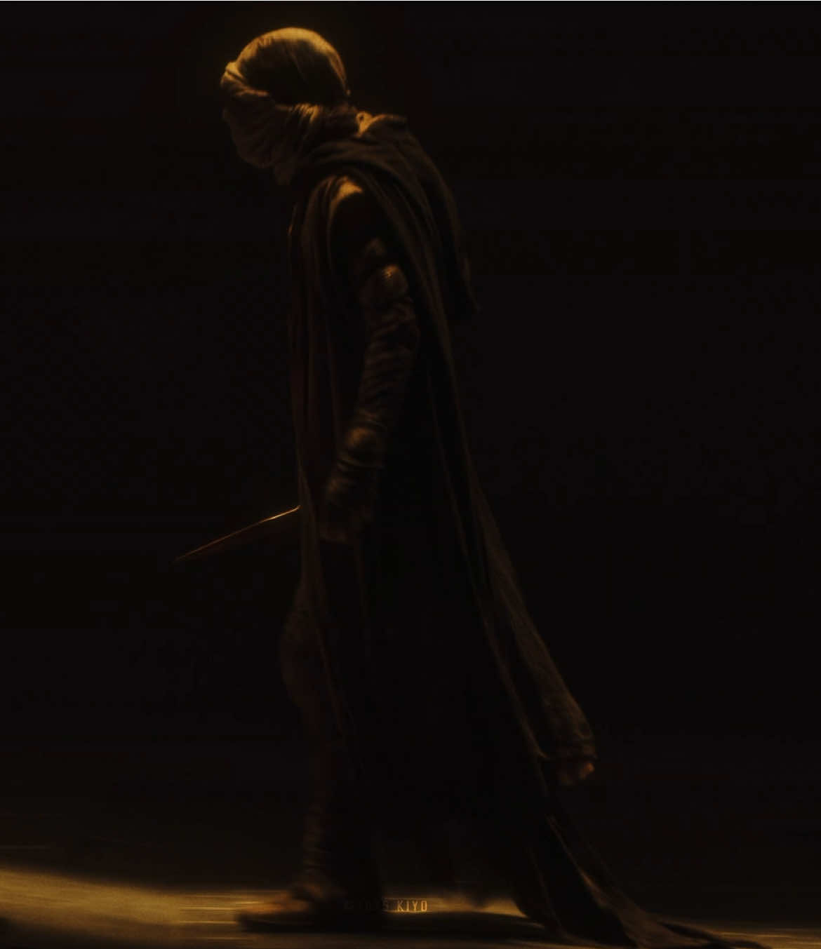 idk what this is.#dune #paulatreides #edit 