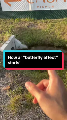 For the my/the/your love in/of science…and life…and all. #Science #fyp #butterflyeffect 