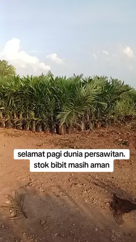 lowongan kerja terbaru tahun ini 