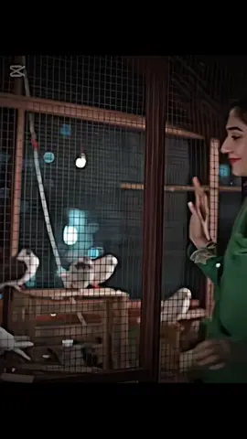 #fyp #edit #sanwalyaarpiya #sanwalyaarpiyadrama #مسلسلات 