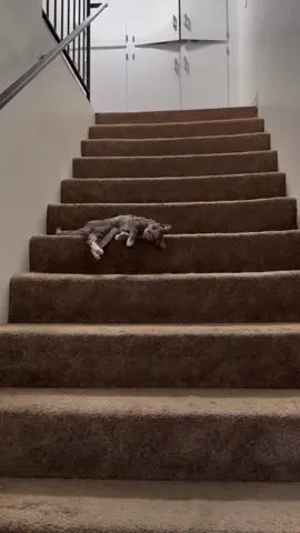 Cute 🤩