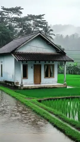 Musim Hujan Telah Tiba?