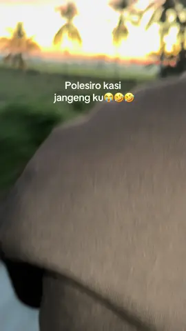 No limit🤣 #lagubugis #elongkelong #masukberandafyp #xybca #storytime 