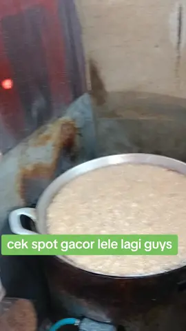 spot gacor lele lagi