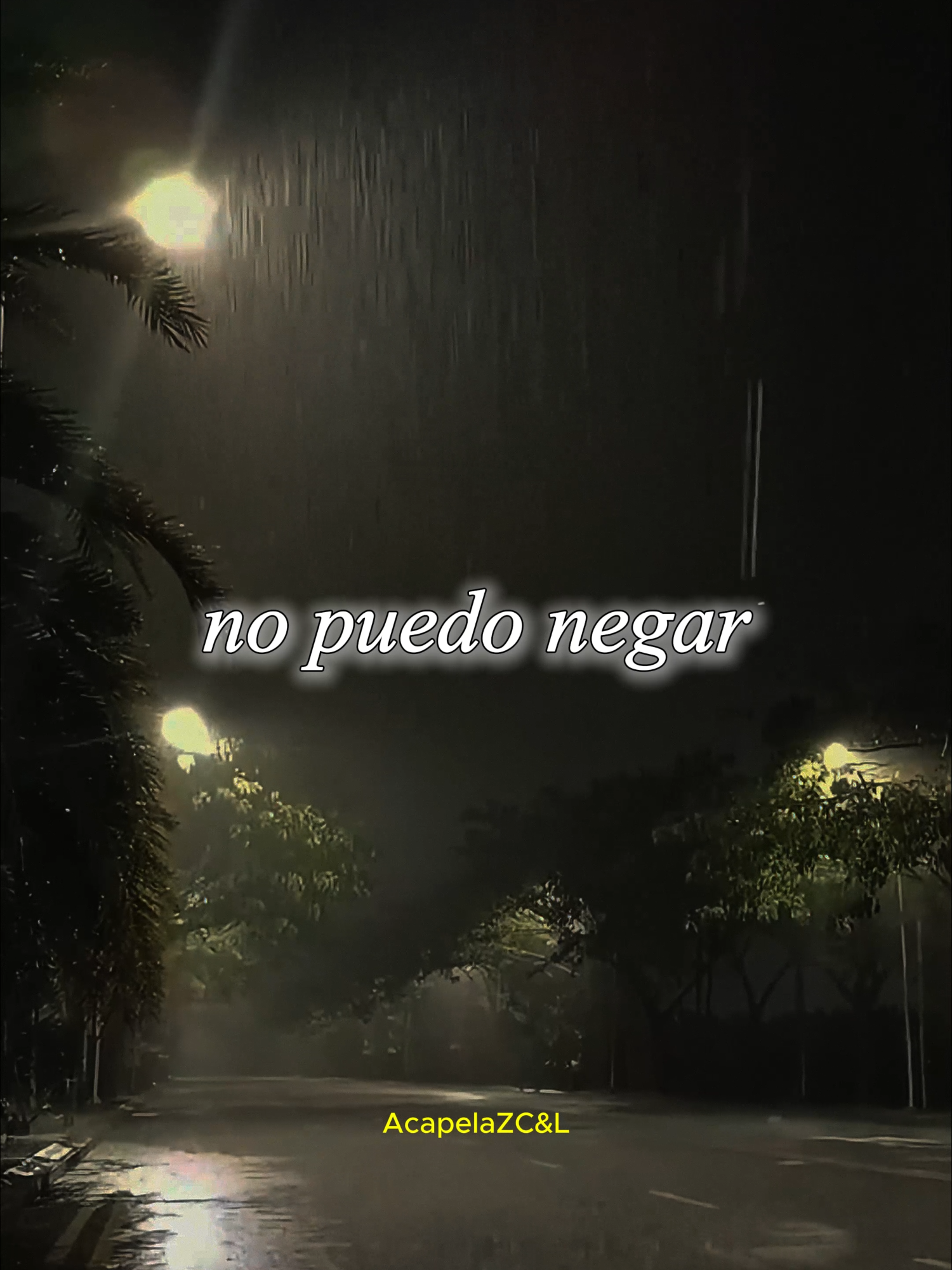 🎶No Puedo Negar🎶ZC&L🎤 #zezedicamargoeluciano #musicasertaneja #musicaparastatus #acapela #antigas #vibes #sucesso #anos90 #sertanejo #musica #status #tipografia #voz #fyyyyyyyyyyyyyyyy