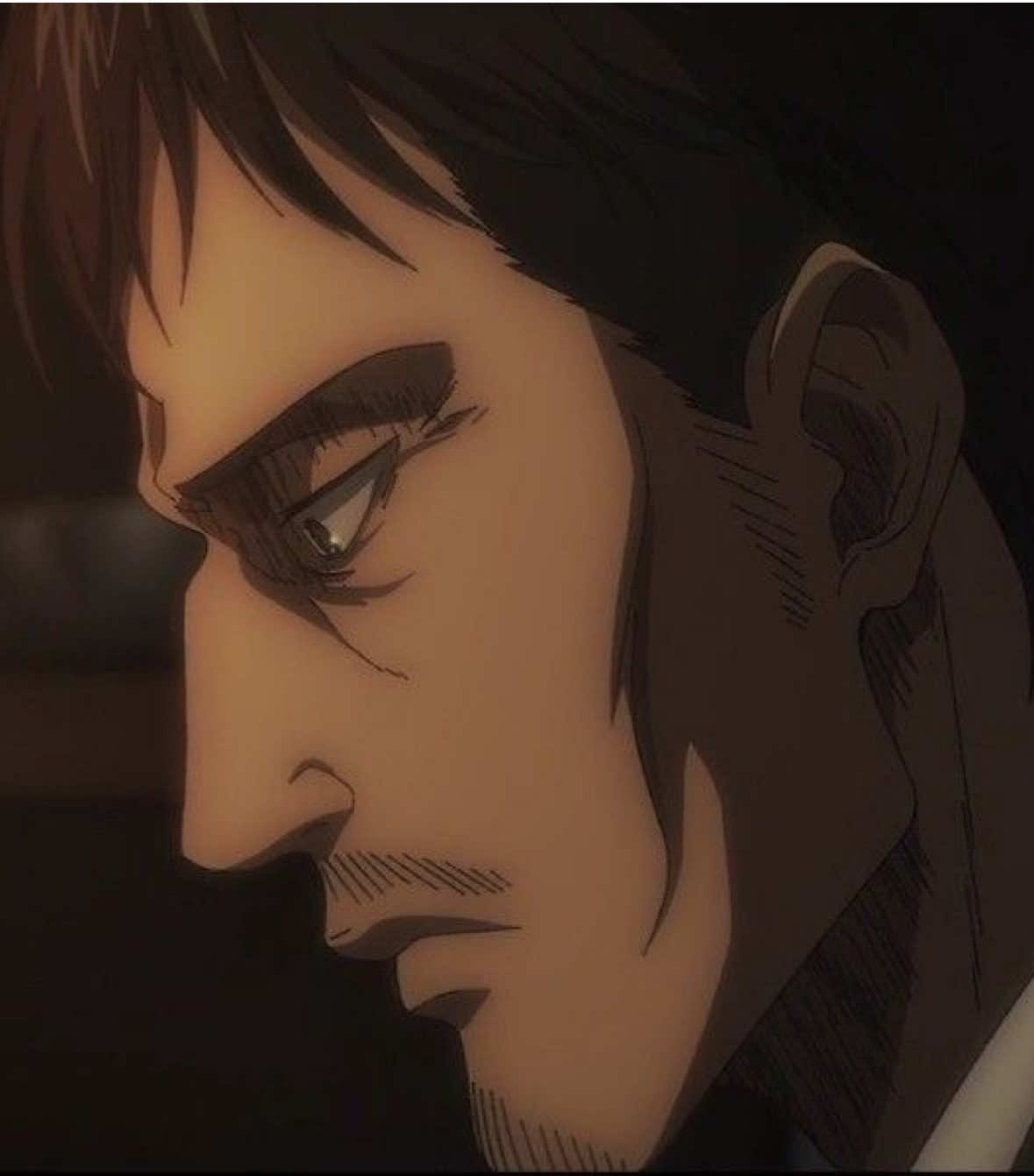 #nile #aot #AttackOnTitan #snk  #myman 