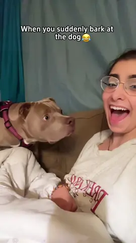 When you bark at a dog,the dog’s reaction 🐶😂😂#dog #tiktok #funnydog #usa🇺🇸 #funnytiktok 