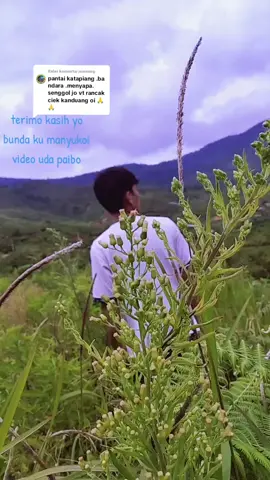 Membalas @jomeangterima kasih atas suportnya dan telah menyukai video video uda paibo semogah dunsanak dudanak bisa terhibur dan sehat selalu dan murah rejeki nya amin....##dendangminang##dendangparantauan##dendangparuntuangan##dendangpasaian##sorotan viraltiktok