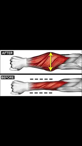 #forearms #workout #gripstrength #muscle 