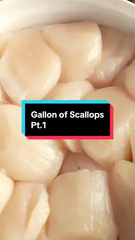 Cooking a GALLON of Scallops Pt. 1 #seafood #scallops #seafoodlover 