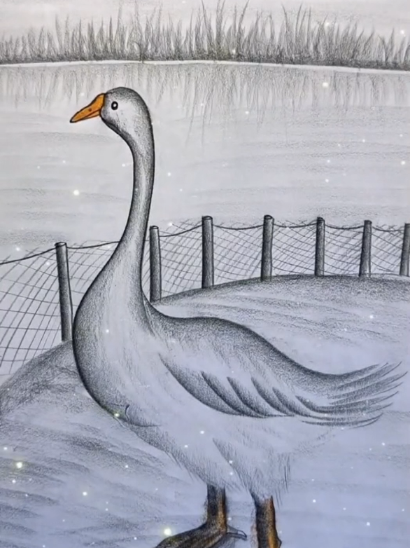 How To Draw With a Pencil ✏️  . . . #artist #sketch #drawingtutorial #artistsoftiktok #drawingforbeginners 