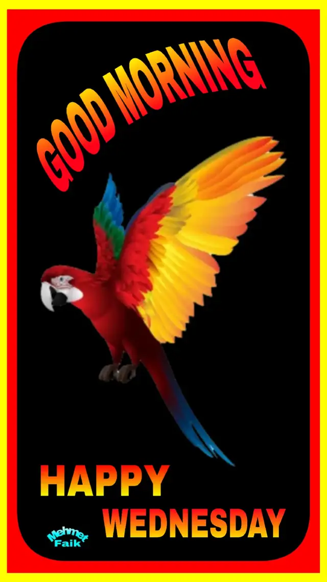 Good morning #Happy Wednesday everyone. ☕ 🌞 ☕ ❤️ ❤️