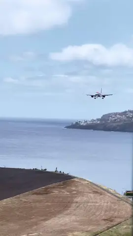 #pilotsoftiktok 