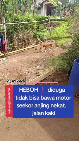 #kejadian_yg_sungguh_tidak_aneh_telah_terjadi #