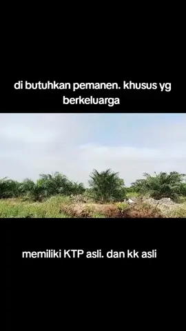 lowongan kerja panen . full dodosan