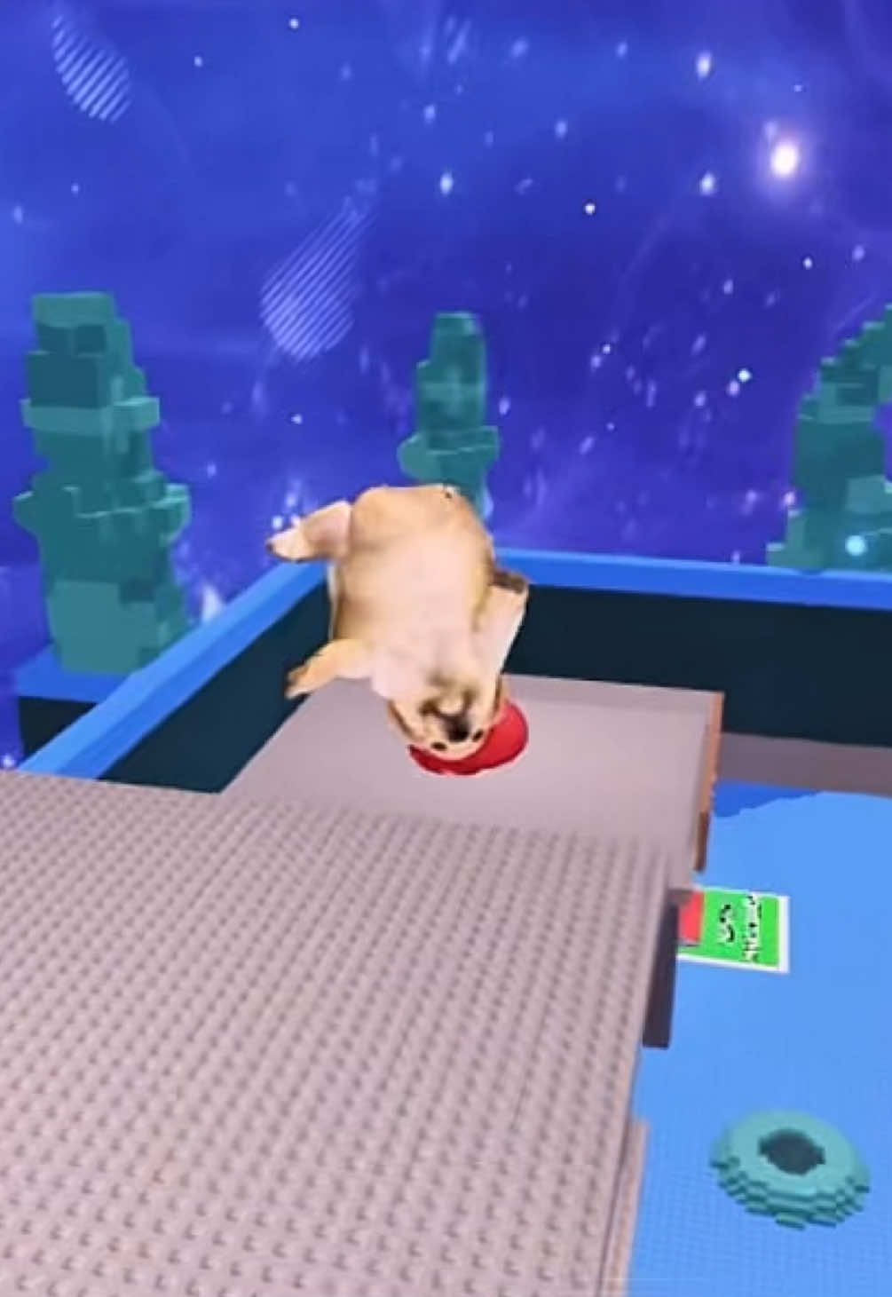 Sé que esta es mi condena 🗣️ #ch4ng0#k_4ydy #stealabrainrotroblox #robaunbrairont #roblox 