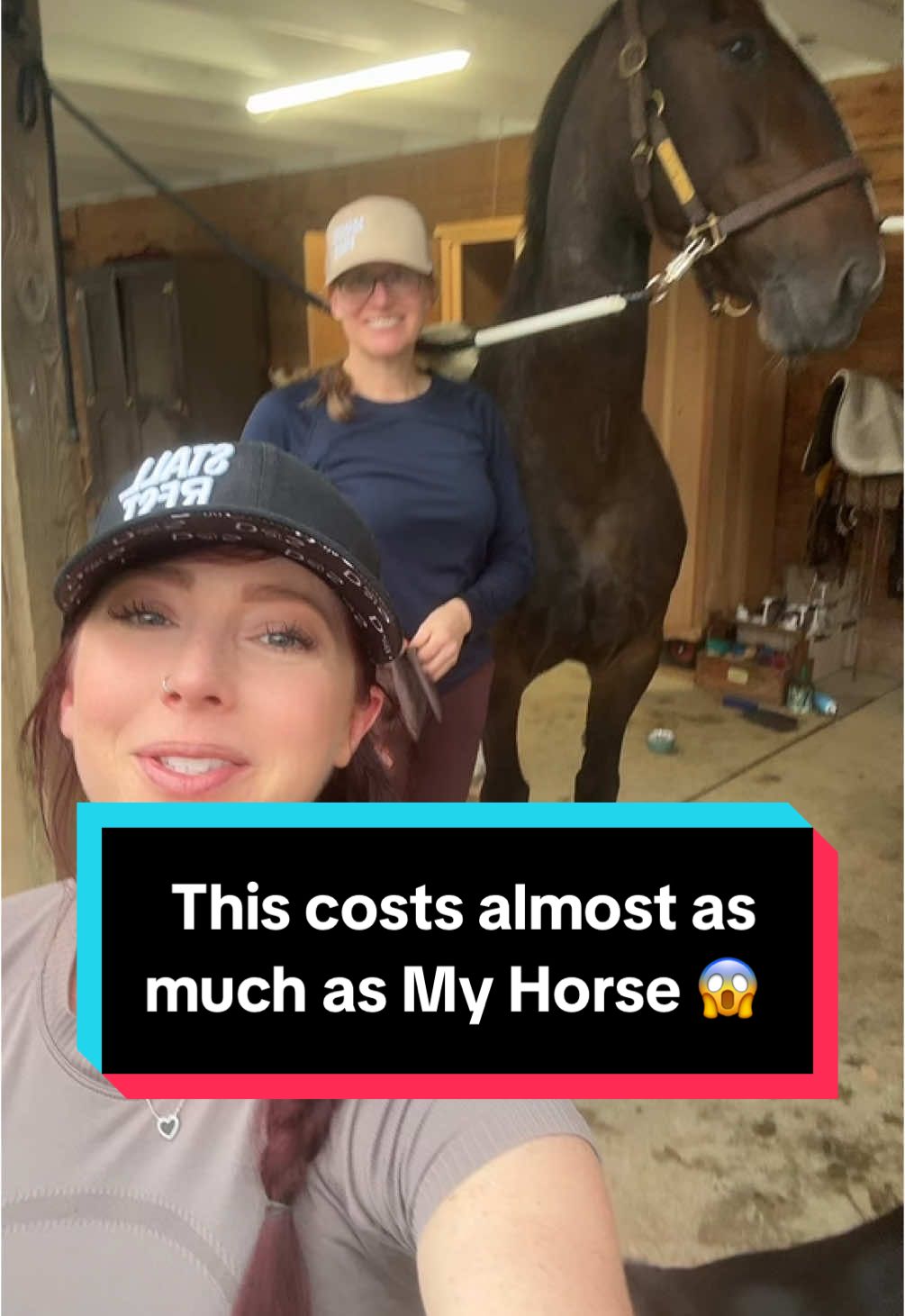 Okay I’m just saying comment if you think Missy deserves an Hermes tack set (even if it costs 10x more than she did) 😝 @LaurenHarts #equestrian #horsetok #horsetoker #equestrianstyle #horsegirlvibes #equestrianlife #fyp #foryou #dressage #showjumping #eventing #hunterjumper #equitation #missythehorse #moosellama 