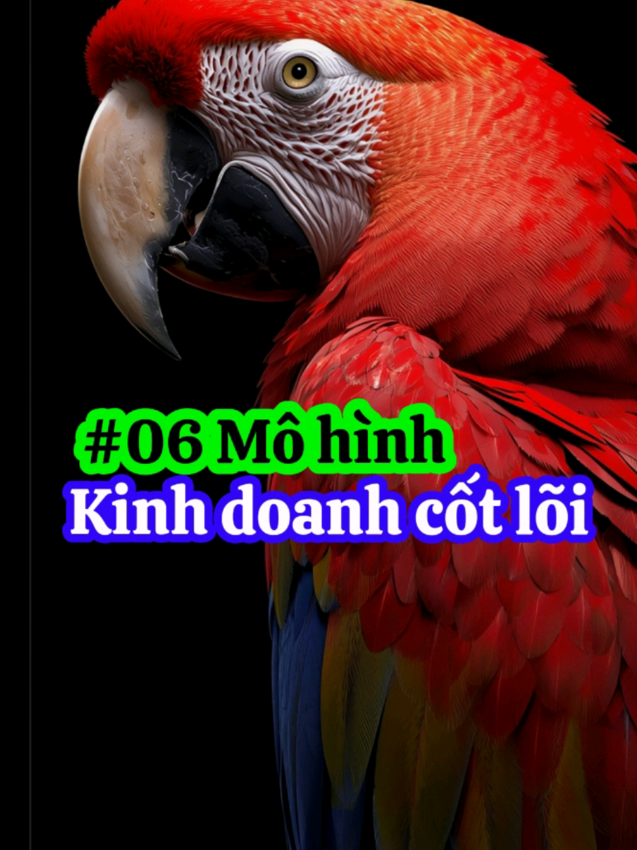 06 mô hình kinh doanh cốt lõi #lao_vuong #tu_duy_kinh_doanh #baihockinhdoanh #mo_hinh_kinh_doanh 
