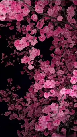 iOS 26 how to get 3D spatial wallpaper background for your iPhone. #ios26 #iphonewallpaper #4kwallpaper #fyp #livewallpaper How to set up iPhone wallpaper tutorial How to apply iPhone live wallpaper live wallpaper wallpaper iPhone wallpaper 8K wallpaper #CapCut #3dwallpaper #capcutforus #capcutpioneer #capcut