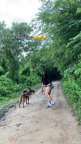 #jaja 
