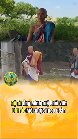 Phải Viết Di Trúc Mới Được Theo Đoàn #fyp #LearnOnTikTok #chanhphap #thichminhtue #miendatphat 