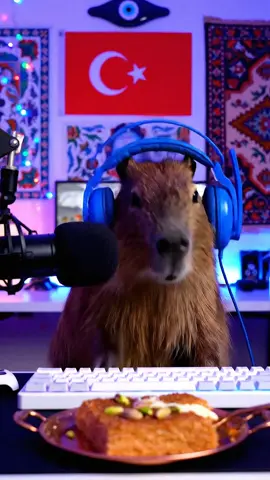 🐾 #yemek #asmr #mukbang #capybara #fyp #viral #trending #explorepage #kesfet #istanbul #ankara #turkiye