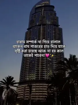 হারাম সম্পর্কে না গিয়ে হালাল থাকেন বাম পাজরের হাড় দিয়ে যাকে সৃষ্টি করা হয়েছে আজ না হয় কাল তাকেই পাবেন!💗✨ #foryou #unfrezzmyaccount #growmyaccount #mr_who_7x #virulplz🙏 @TikTok Bangladesh 
