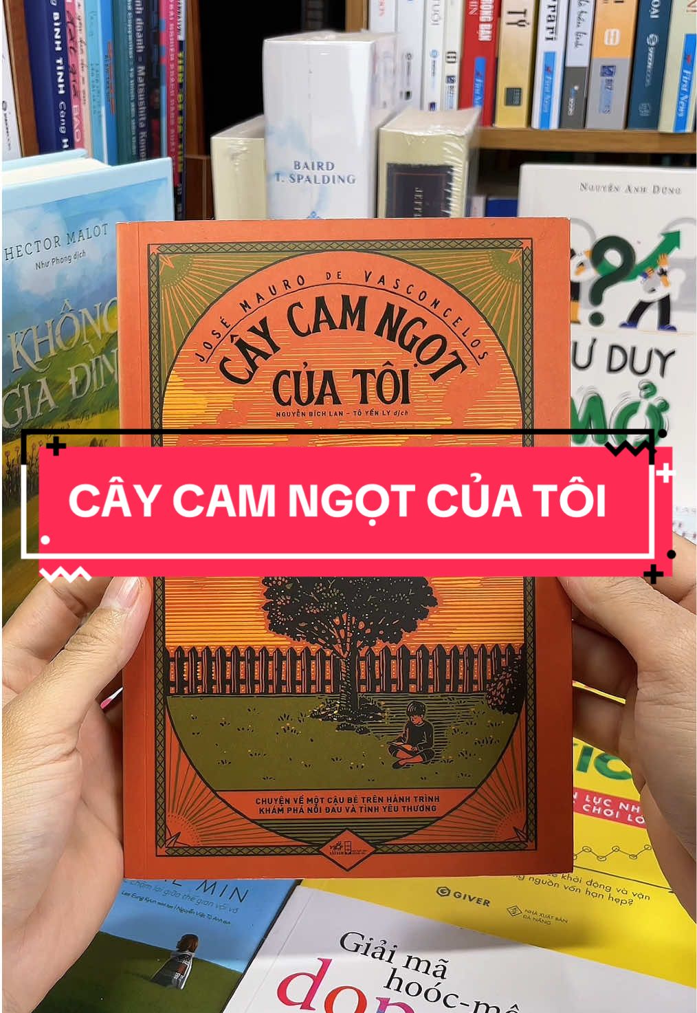 Cây Cam Ngọt Của Tôi – Tuổi Thơ Đẫm Nước Mắt Nhưng Đầy Yêu Thương! Bạn còn nhớ những rung động đầu đời – vừa ngọt ngào, vừa đau nhói?  “Cây Cam Ngọt Của Tôi” là cuốn tiểu thuyết kinh điển của văn học Brazil, kể về cậu bé Zezé nghịch ngợm, hồn nhiên nhưng mang trong mình nỗi cô đơn sâu thẳm. - Dưới tán cây cam nhỏ, Zezé trò chuyện, chia sẻ, và tìm thấy một thế giới riêng đầy ấm áp giữa tuổi thơ khốn khó. - Đây là câu chuyện khiến hàng triệu độc giả trên thế giới rơi lệ, nhưng cũng để lại ánh sáng hy vọng và tình yêu thương vô bờ. Nếu bạn đang tìm một cuốn sách chạm đến trái tim, khiến bạn vừa cười vừa khóc, và rồi nhận ra giá trị của tình thương trong cuộc sống, thì “Cây Cam Ngọt Của Tôi” chính là lựa chọn không thể bỏ qua. Hãy sở hữu ngay cuốn sách này để một lần sống lại tuổi thơ, và để trái tim bạn được chữa lành!#tiemsachbinhyen #sach #sachhay #BookTok #caycamngotcuatoi 