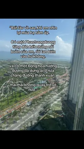 không quay lại nữa🌻#fyp #phantrongduong33 #viral #xuhuong 