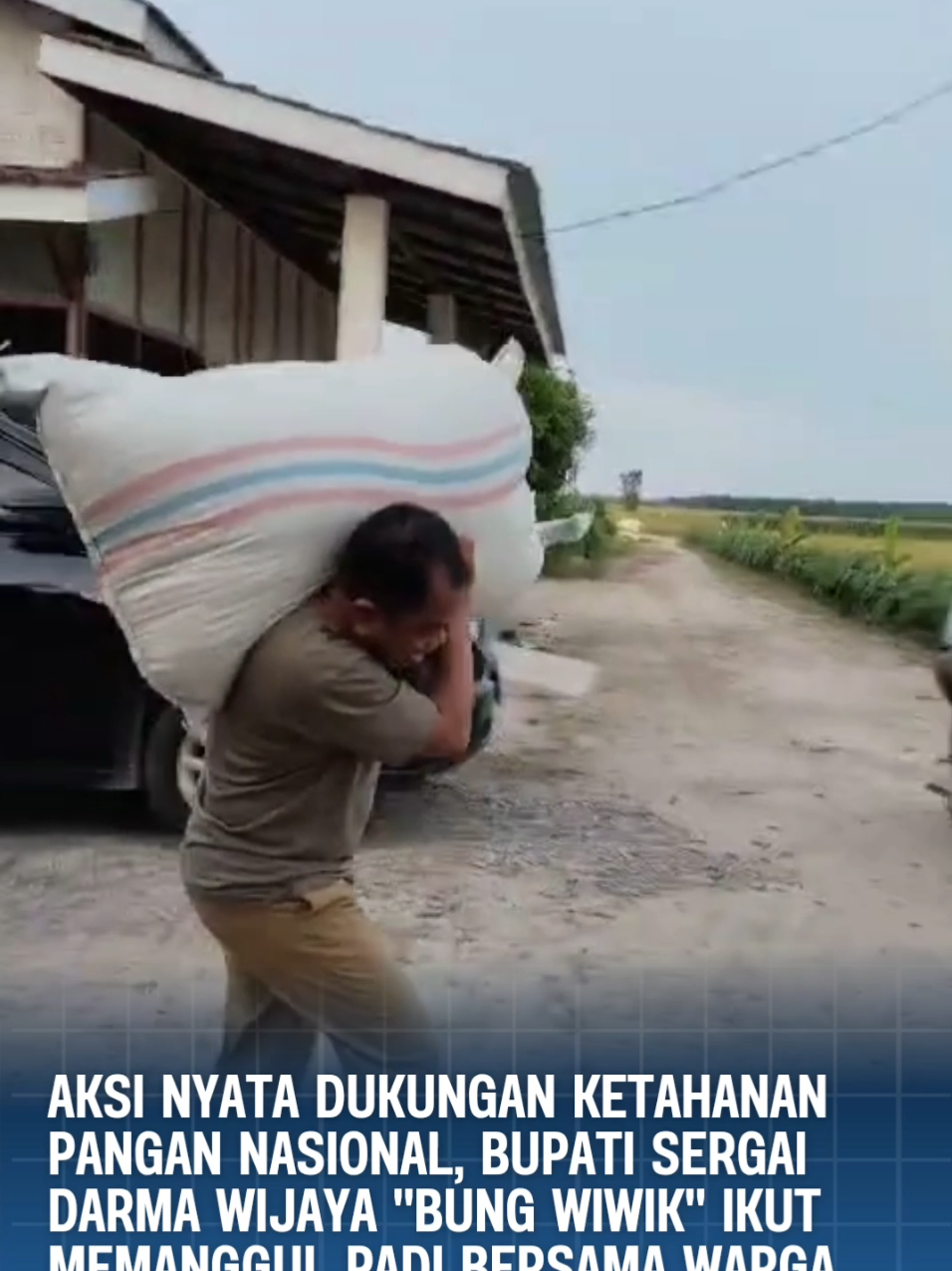 Bung Wiwik sapaan akrab Bupati Serdang Bedagai Darma Wijaya memanggul padi saat panen bersama warga di Desa Paya Lombang, Kecamatan Tebing-tebing menjadi  wujud nyata dukungan terhadap program ketahanan pangan nasional Presiden Prabowo. Aksi ini menunjukkan sinergi antara pemerintah daerah dan pemerintah pusat dalam mencapai swasembada pangan. #BupatiSergai #BungWiwik #darmawijaya 