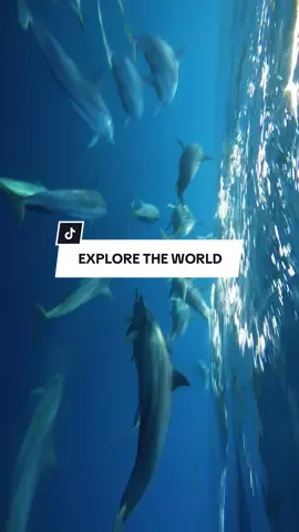 Explore the world, do what to love 🙌🏻  #traveling #travel 