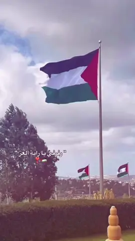 #العز_فلسطين🇵🇸❤ #غزة_العزة🇵🇸 