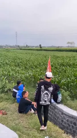 🥶#fyp#ikspikerasakti_indonesia#pagarnusa86💚🔱#masukberandafyp#jombang24jam