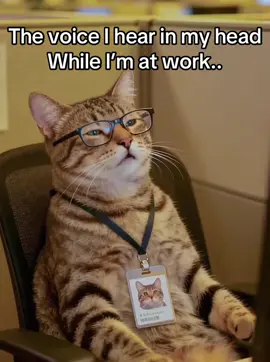 The voice in my head..#fyp #worklife #workhumor #office #catmeme 