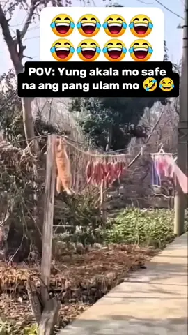 Bumaba ka jan Ming 🤣🤣🤣