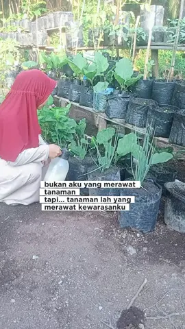 terimakasih tanaman2ku 😍 #gardening #berkebun #minigarden #minivlog 