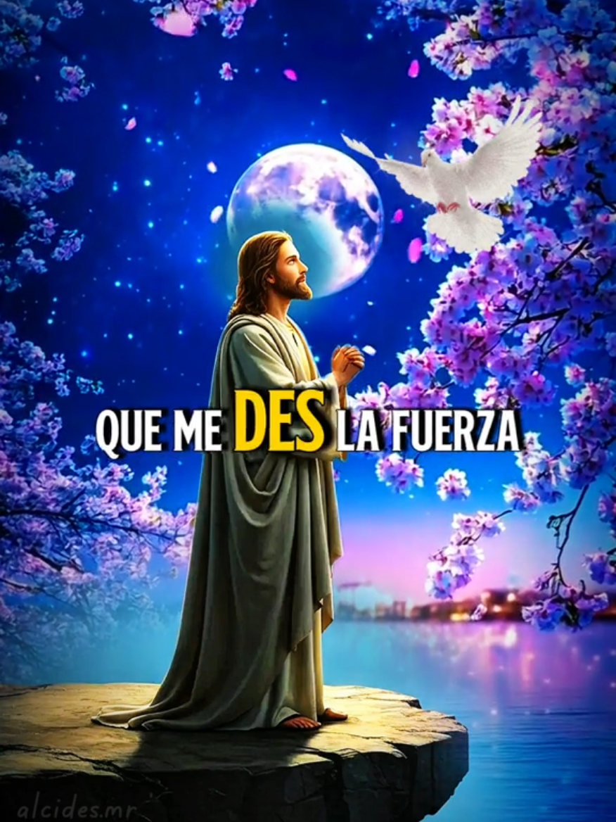 Gracias Dios por un nuevo día 🙏  #parati #oración #buenosdias 
