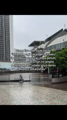 klebus comeback