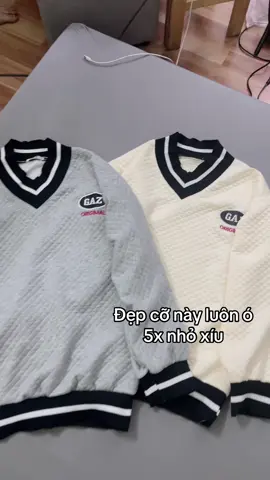 Áo Swt cổ tim chất liệu xốp dập vân nổi có xám và có kem 