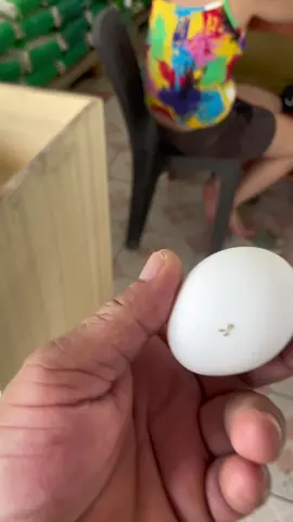 Egg for breakfast babe?  She doesn't want a small egg #unkle #kachupol #unklejimtv #tiktok #viralvideo