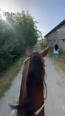 #kesfet